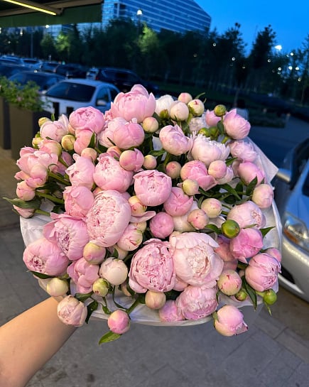 Розовое облако из пионов with delivery to Astana