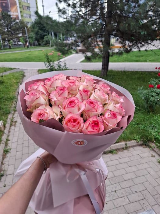 Розовое очарование с двухцветными розами