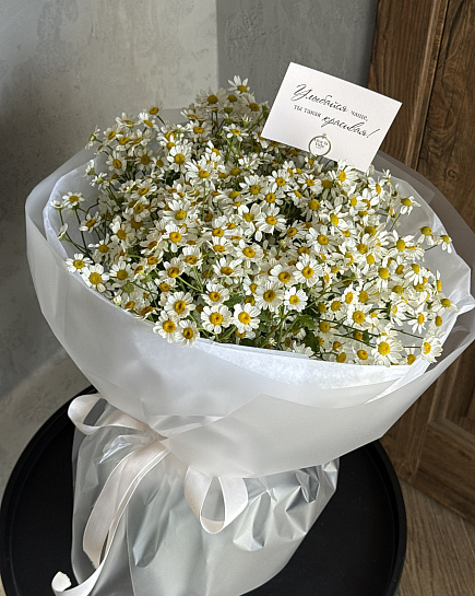 Белоснежное очарование ромашек with delivery to Astana