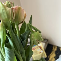 At the recipient's