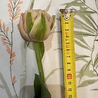 At the recipient's