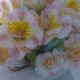 У получателя