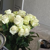 At the recipient's