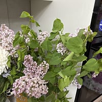 At the recipient's