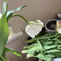 At the recipient's