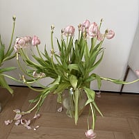 At the recipient's